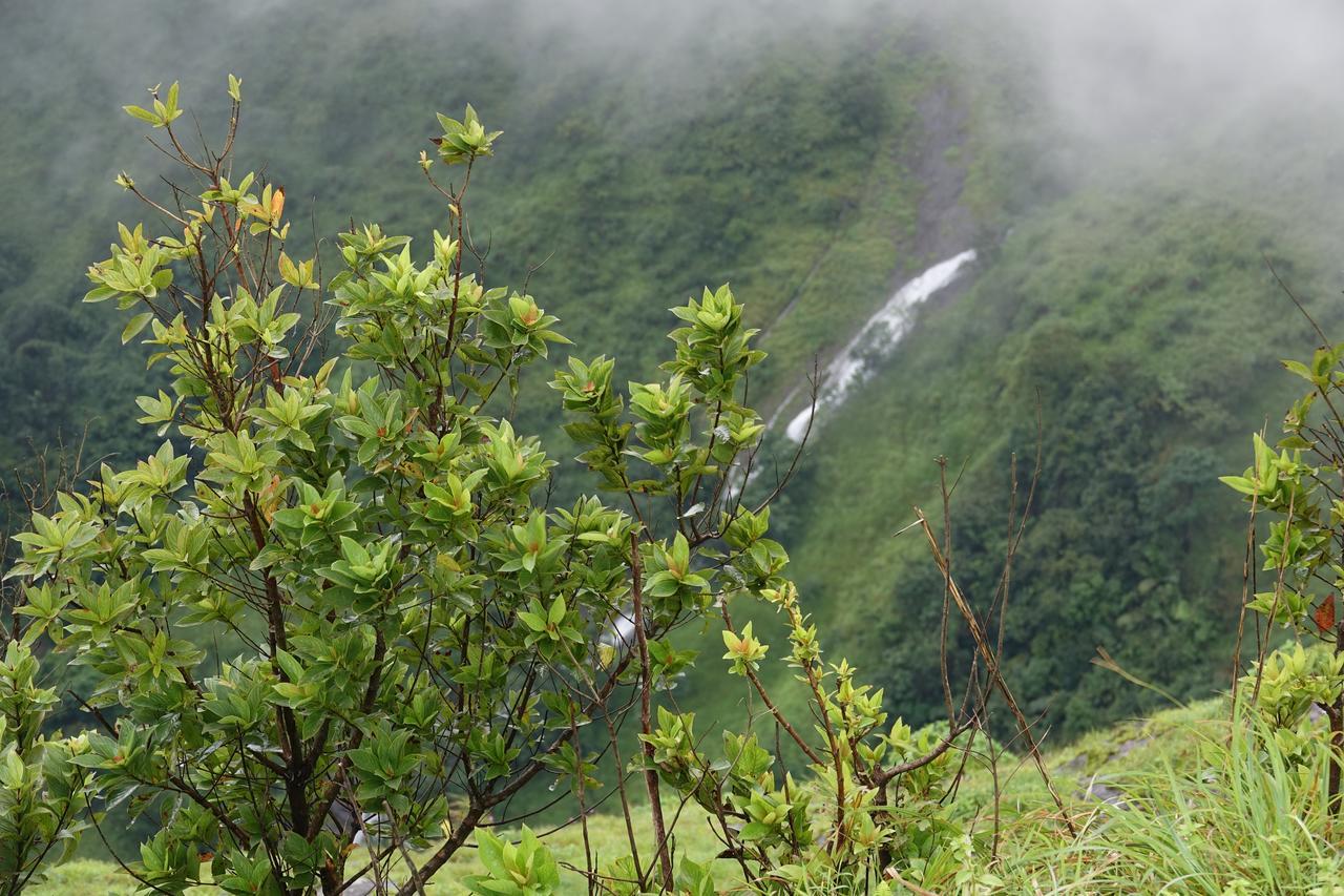 Orion County Otel Vagamon Dış mekan fotoğraf