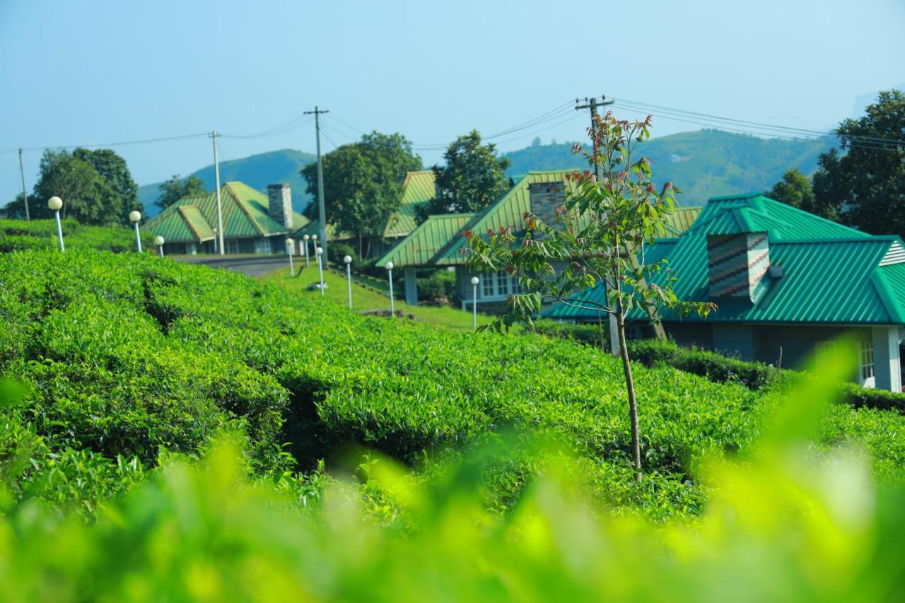 Orion County Otel Vagamon Dış mekan fotoğraf
